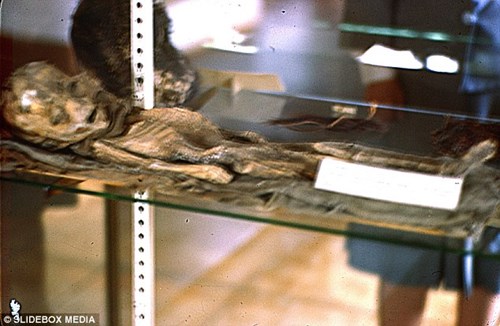 Picture 1 of Revealing undeniable evidence of aliens?