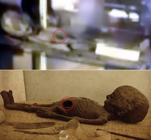 Picture 3 of Revealing undeniable evidence of aliens?
