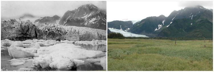 Picture 1 of Review NASA photos to see how terribly the Earth has changed