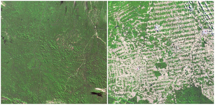 Picture 11 of Review NASA photos to see how terribly the Earth has changed