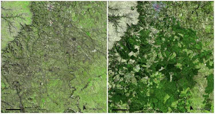 Picture 12 of Review NASA photos to see how terribly the Earth has changed