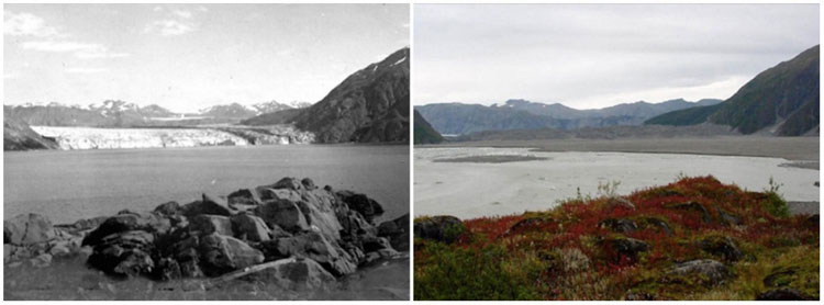 Picture 2 of Review NASA photos to see how terribly the Earth has changed