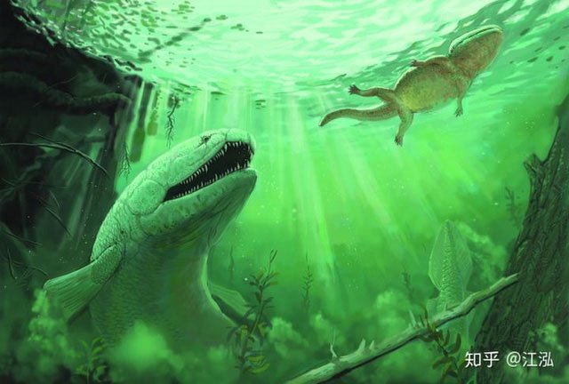 Picture 8 of Rhizodus hibberti: Horror monster of the Carbon era