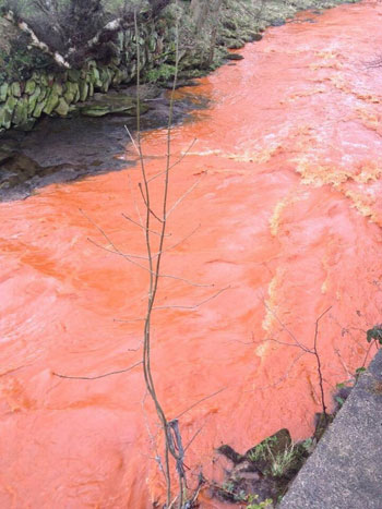 Picture 3 of River water turns yellow