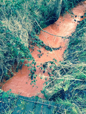 Picture 5 of River water turns yellow