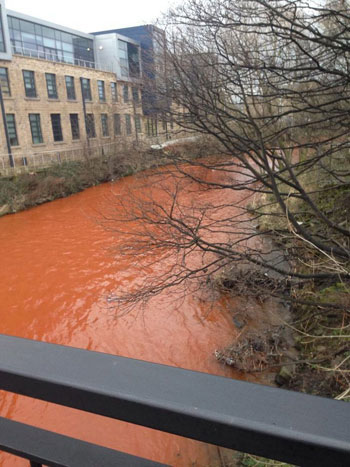 Picture 6 of River water turns yellow