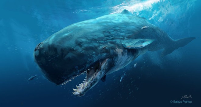 Picture 2 of Roll on 10 giant monsters extinct on Earth