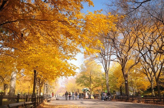 Picture 10 of Romantic autumn roads around the world