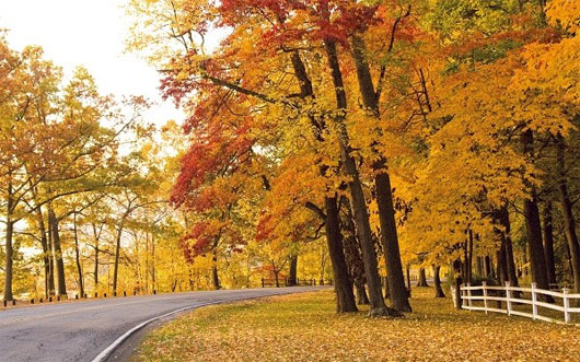 Picture 11 of Romantic autumn roads around the world
