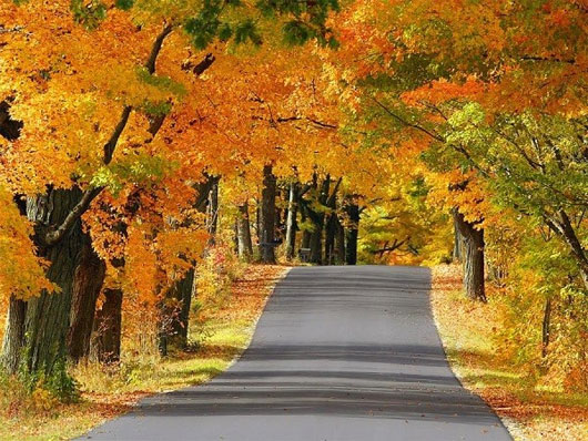 Picture 12 of Romantic autumn roads around the world