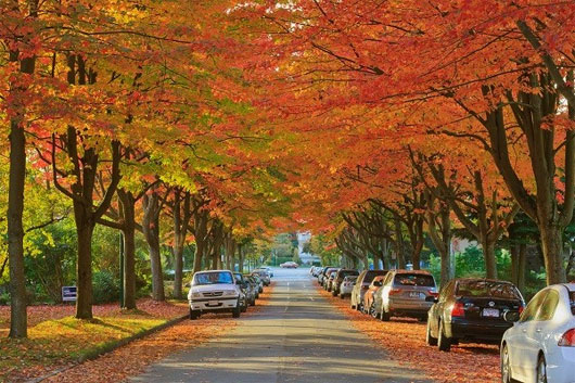 Picture 13 of Romantic autumn roads around the world