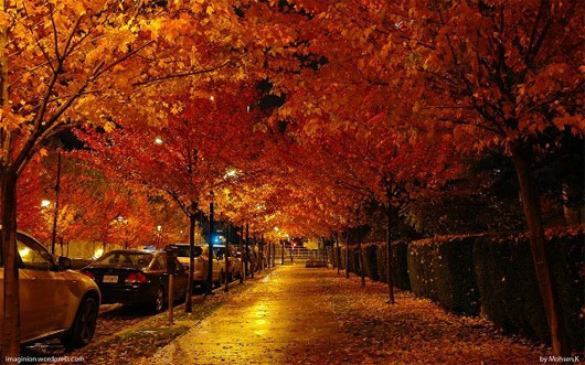 Picture 14 of Romantic autumn roads around the world