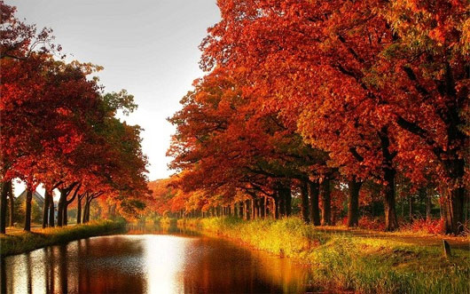 Picture 15 of Romantic autumn roads around the world