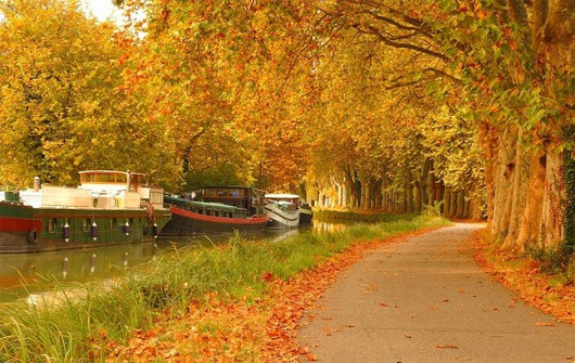 Picture 16 of Romantic autumn roads around the world