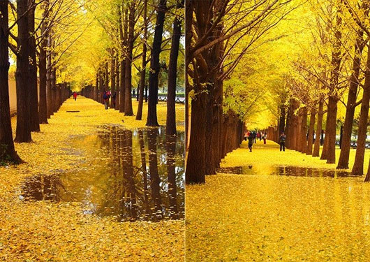 Picture 6 of Romantic autumn roads around the world