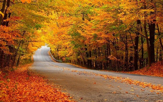 Picture 7 of Romantic autumn roads around the world