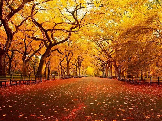 Picture 9 of Romantic autumn roads around the world