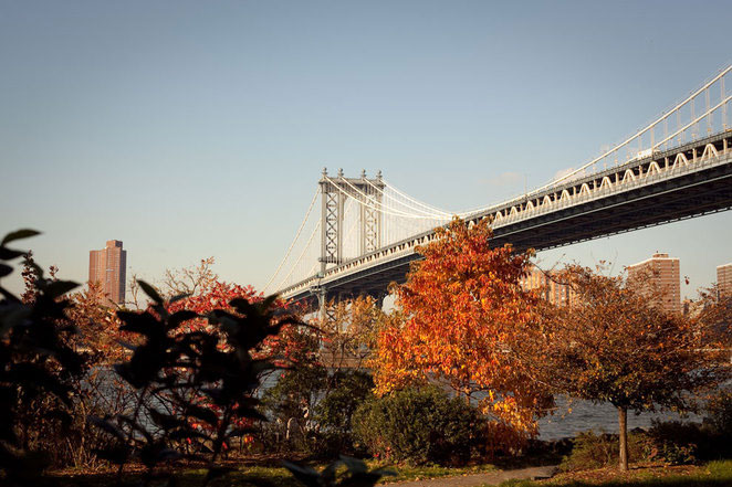 Picture 1 of Romantic fall America