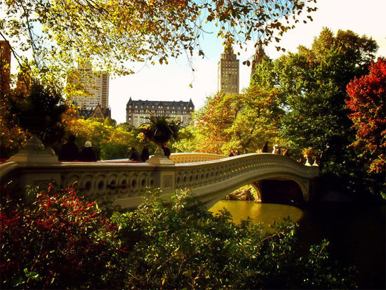 Picture 2 of Romantic fall America