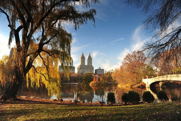 Picture 3 of Romantic fall America