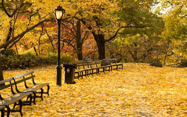 Picture 4 of Romantic fall America