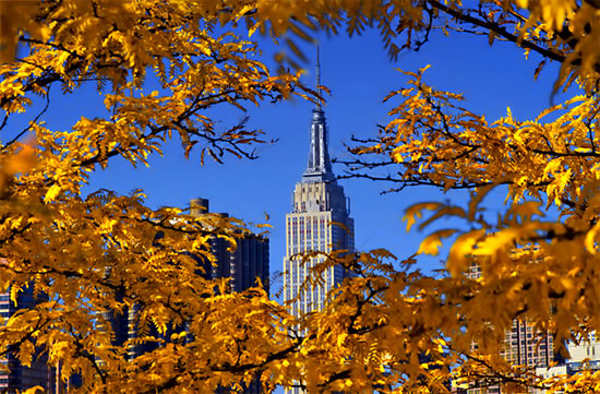 Picture 6 of Romantic fall America