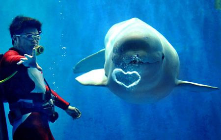 Picture 11 of Romantic hearts between nature
