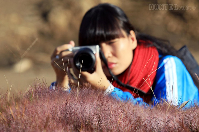Picture 5 of Romantic rose grass hill in Da Lat