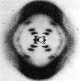 Rosalind Franklin and the DNA structure discovery event images 2