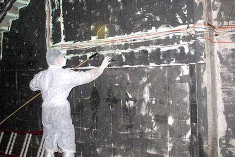 Picture 1 of Rounding out the announcement of the bird flu epidemic infected with H5N1