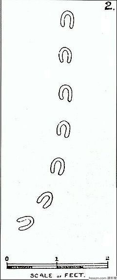 Picture 4 of Rumored footprints from demons around the world