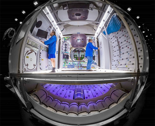 Picture 3 of Rushed to build the Moon Space Gate