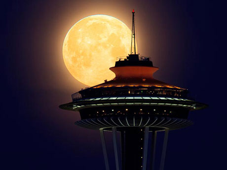 Picture 1 of Russia and Japan want to build bases on the moon