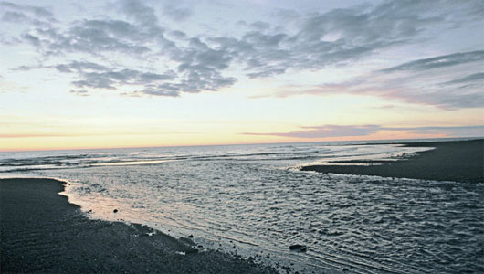 Picture 1 of Russia discovered new life in the Far East Sea