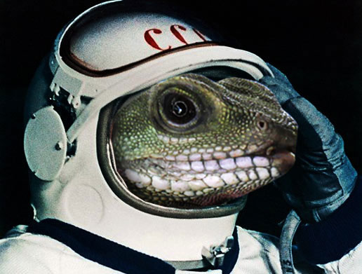 Picture 1 of Russia is about to bring geckos to the universe