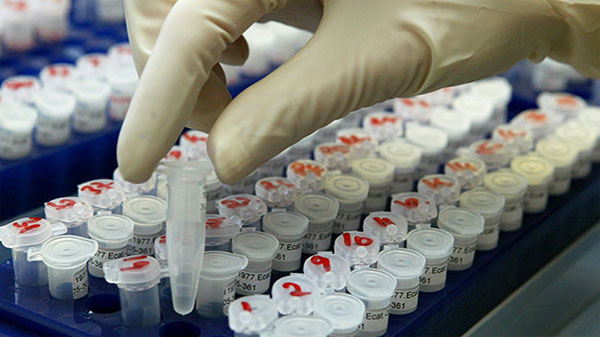Picture 1 of Russia set up an DNA bank of all species
