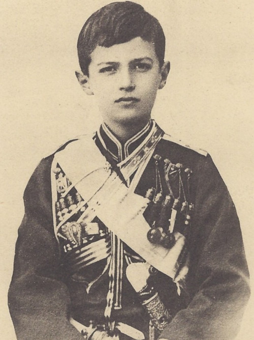 Picture 2 of Russia sought the solution of the last two Tsar's children