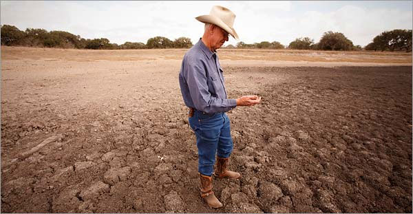 Picture 1 of Russian agriculture lost more than $ 1 billion due to the weather