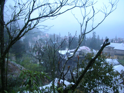 Picture 2 of Sa Pa is snowing