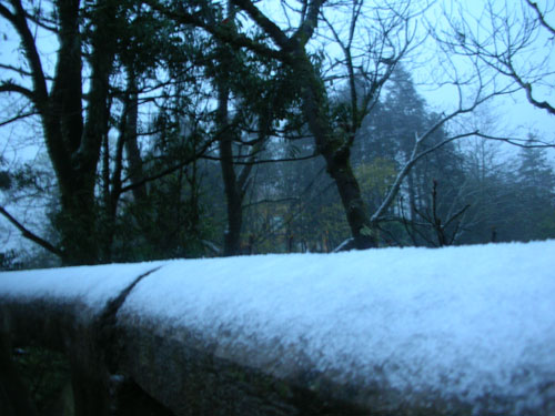 Picture 4 of Sa Pa is snowing