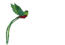 Picture 3 of Saddlebirds