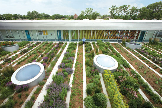 Picture 1 of Safe and sustainable agricultural models of the future