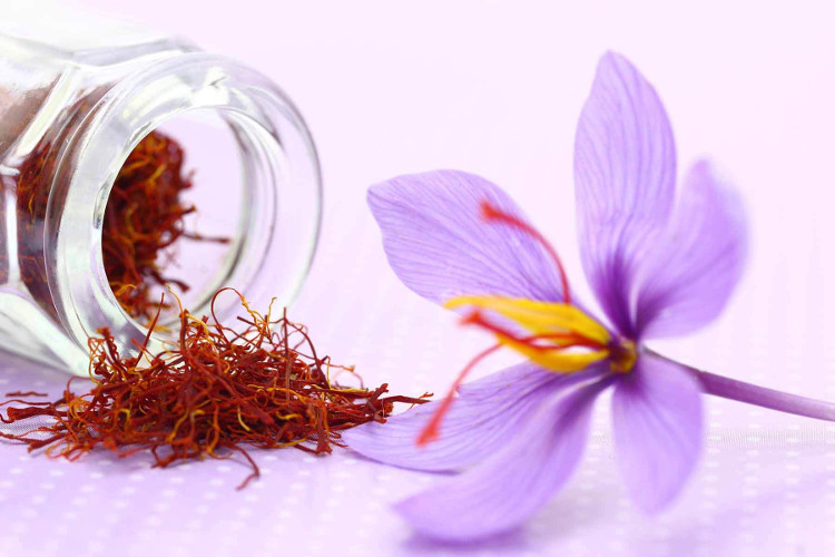 Picture 1 of Saffron - Saffron is really divine as rumor?