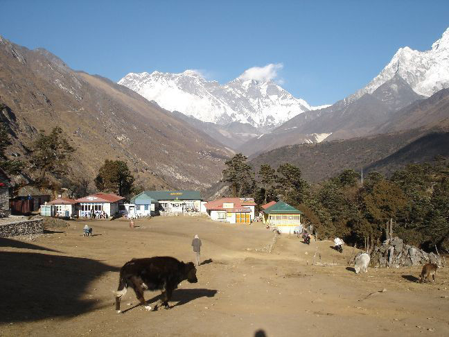 Picture 9 of Sagarmatha National Park - Nepal