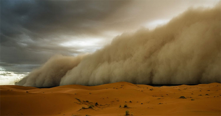 Picture 1 of Sahara dust, who 'sabotage' Caribbean summer