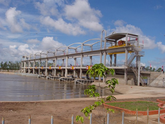 Picture 1 of Saline intrusion deep in the dry season of 2013