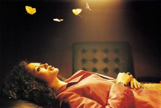 Picture 12 of Samsara: Looking for a solution has one or more ... lives