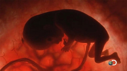 Picture 9 of Samsara: Looking for a solution has one or more ... lives