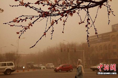 Picture 3 of Sandstorm attacks northwest China