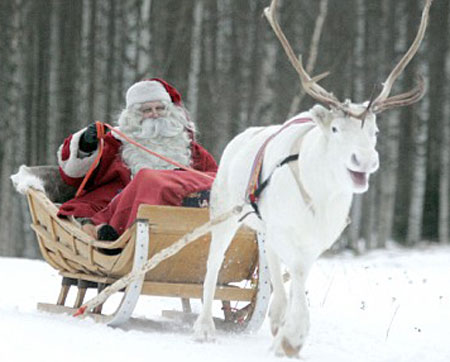 Picture 1 of Santa's companion is threatened